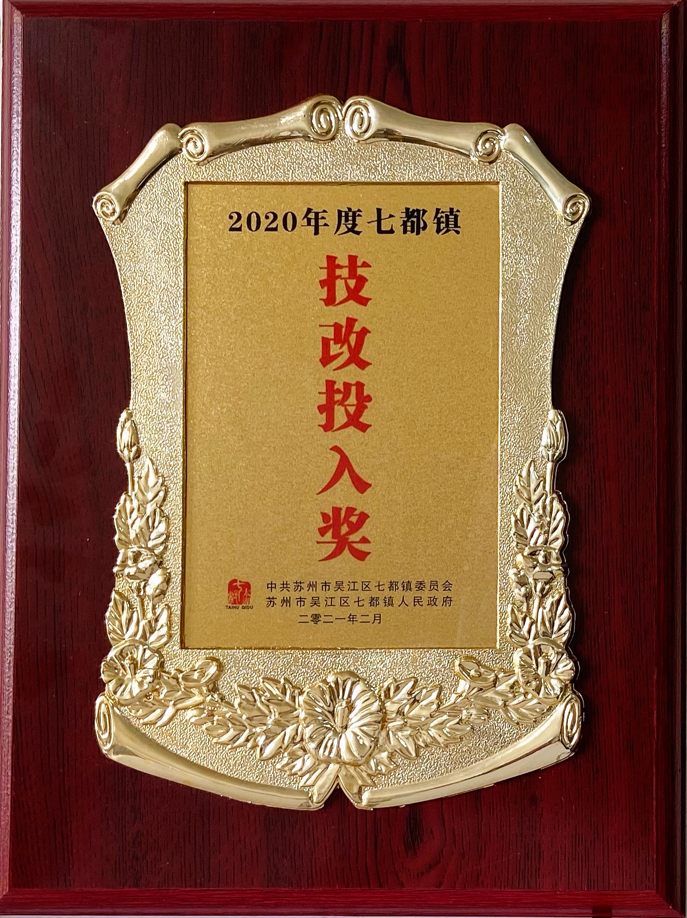 2020年--技改投入奖